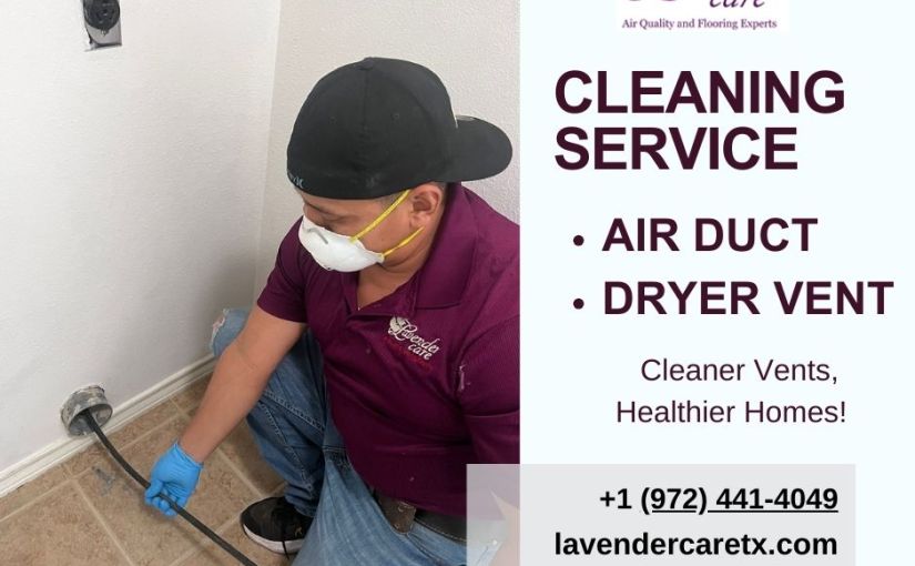 Lavender Care TX: Pioneering Indoor Air Purity in the Heart of Texas